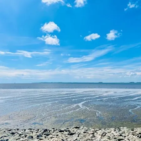 Schwalbennest Apartment *